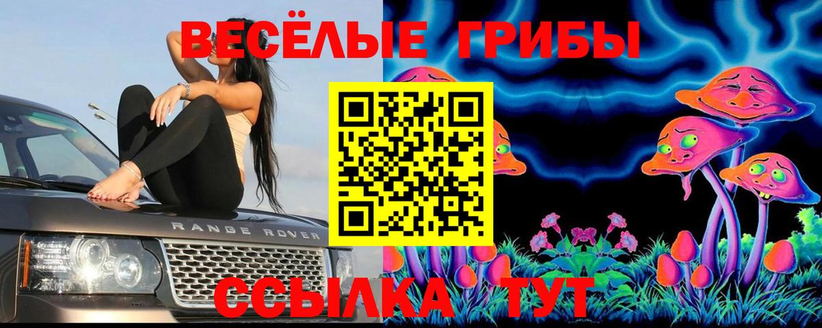 Псилоцибиновые грибы Psilocybe  Вход с VPN  Лабытнанги 